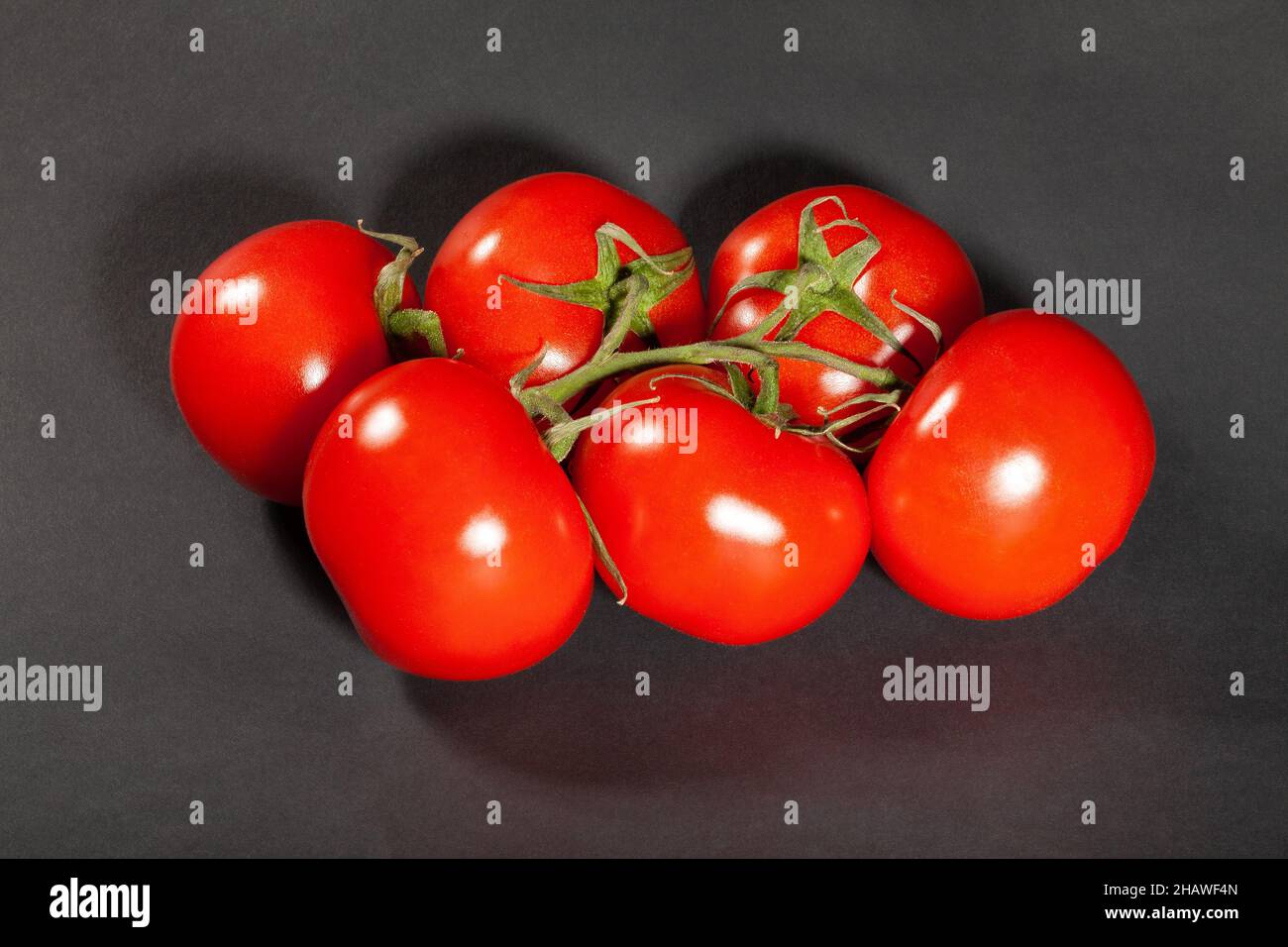 ramo di pomodoro su sfondo nero Foto Stock