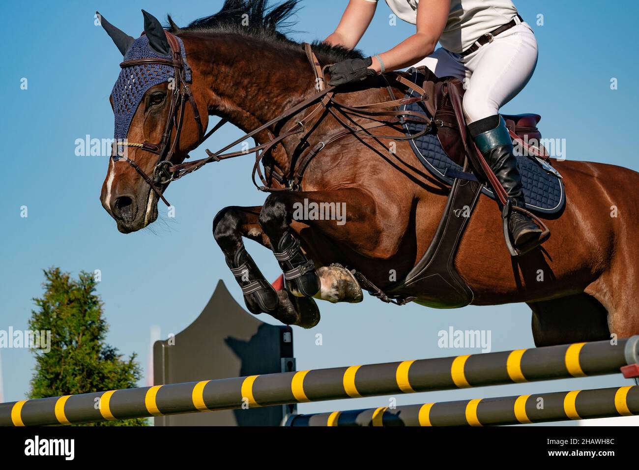 Salto a cavallo, Sport equestri, spettacolo salto evento fotografia a tema Foto Stock