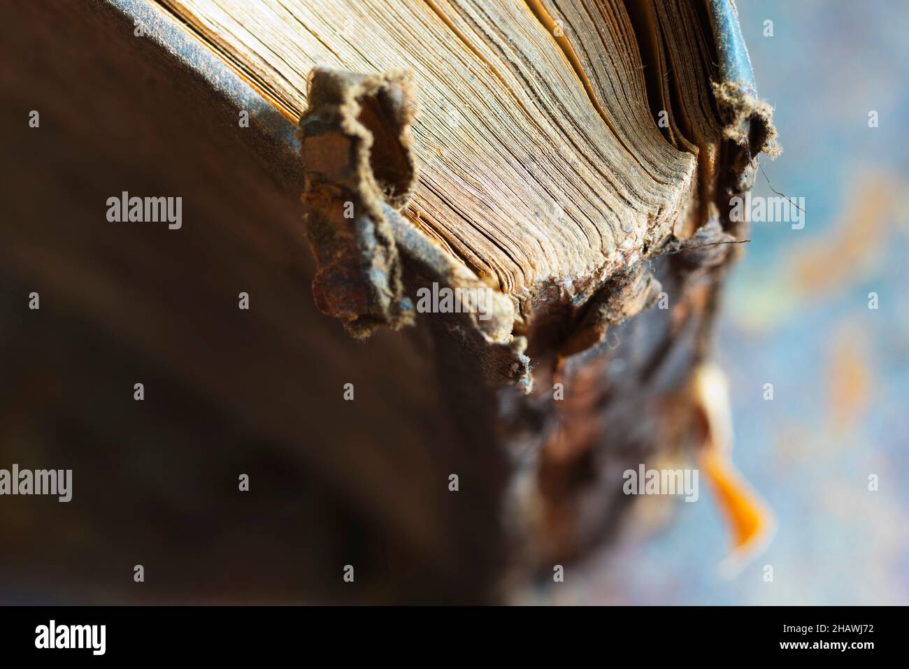 Primo piano della colonna vertebrale di un vecchio libro Foto Stock
