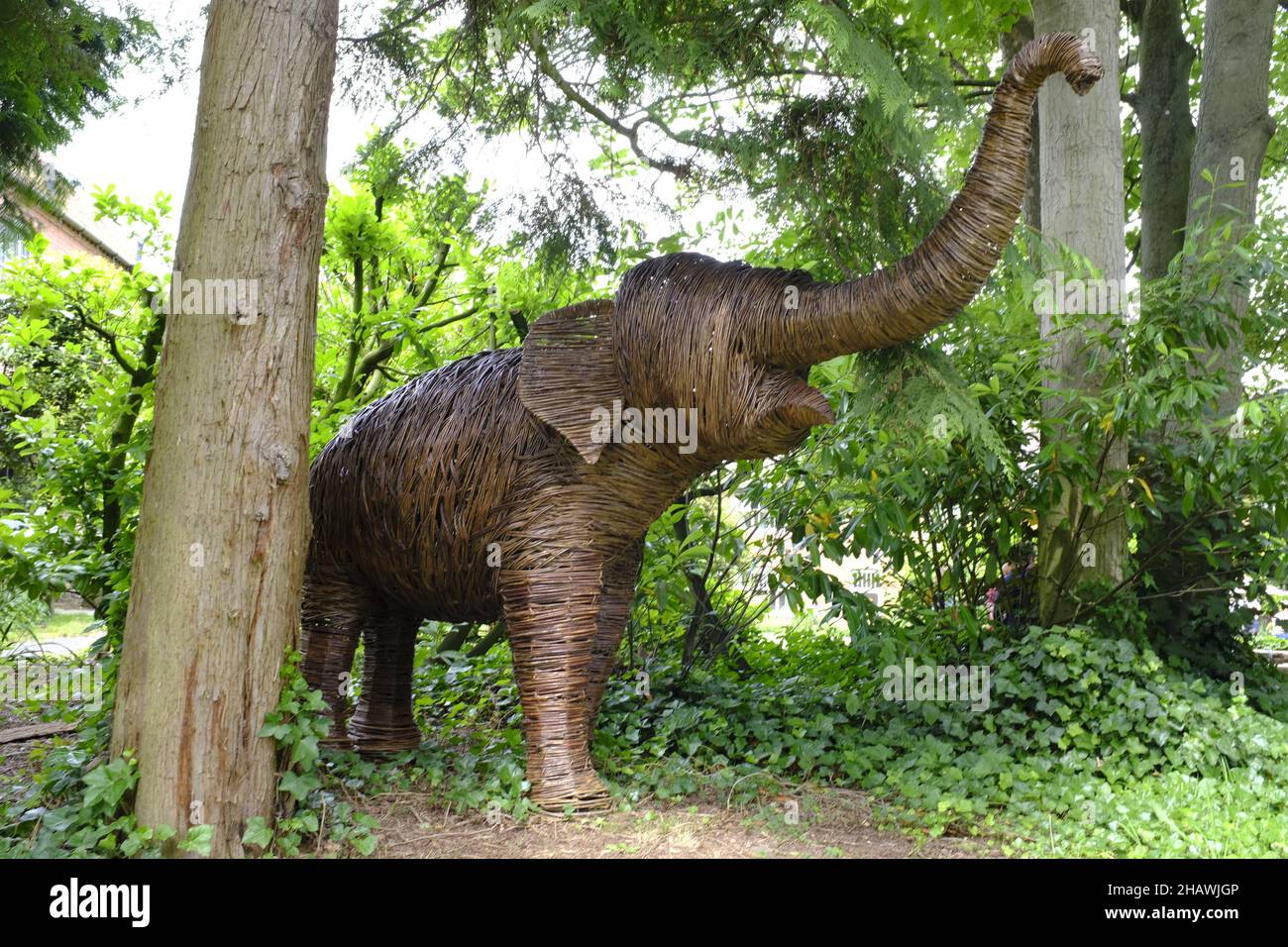 Scultura in vimini di un elefante tra gli alberi in Hellens Manor Gardens, molto Marca, Herts., UK Foto Stock