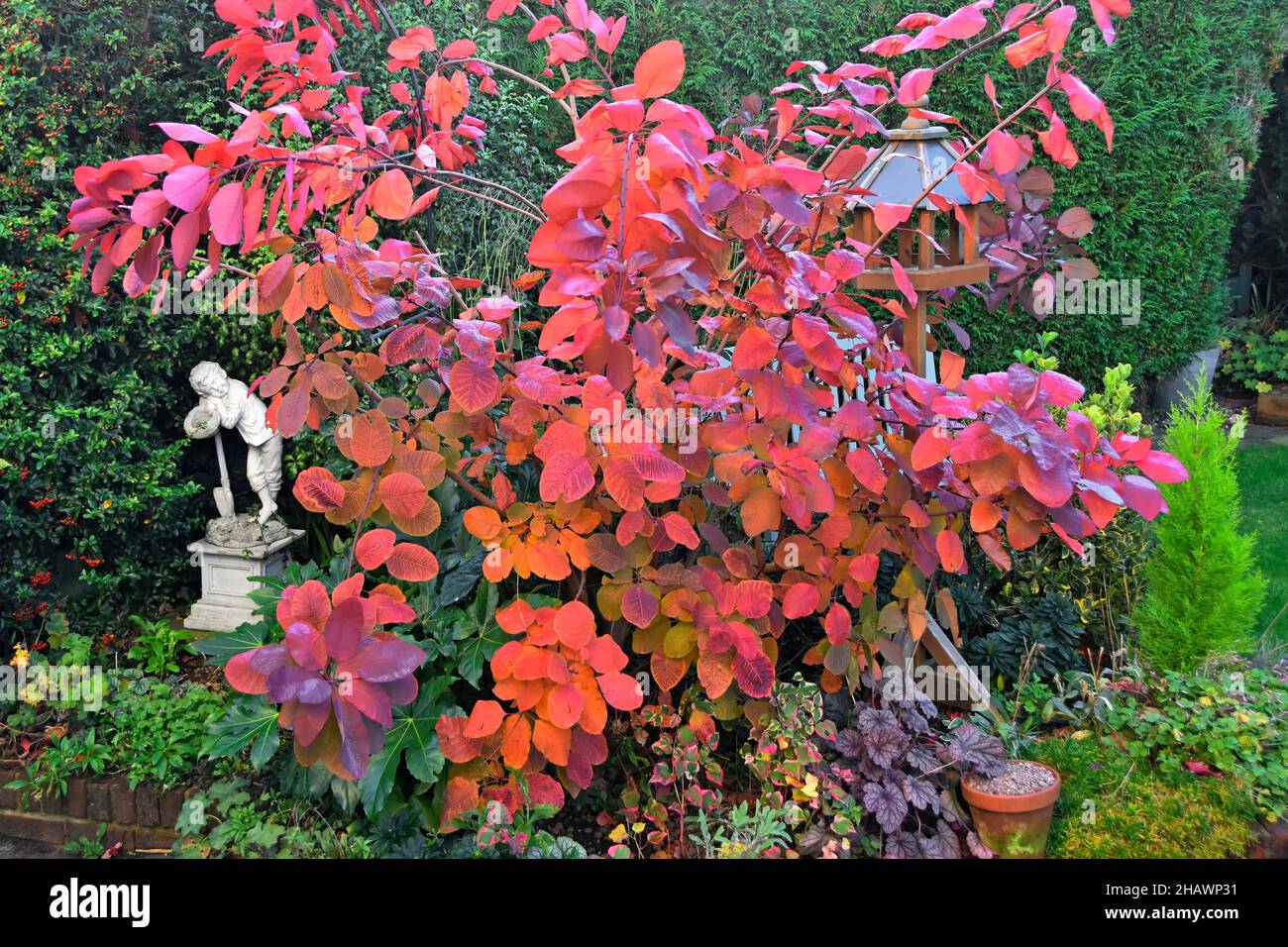 Una statua dormiente del ragazzo inglese giardino posteriore fra le piante cespugliose con colore autunnale deciduo della varietà Cotinus reale viola davanti Inghilterra UK Foto Stock