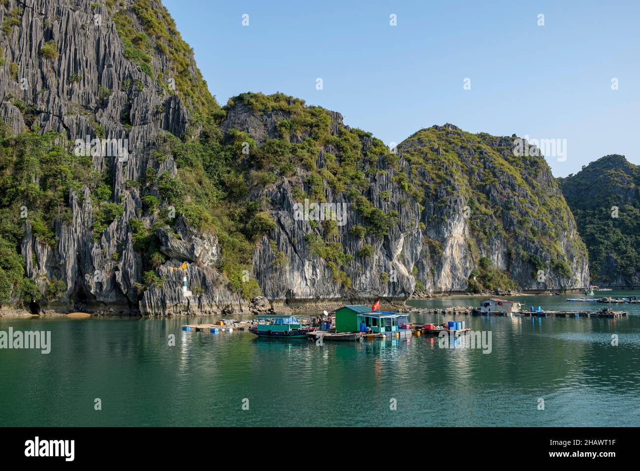 Villaggio galleggiante di pescatori sulla baia di ha Long, Vietnam settentrionale nel Golfo di Tonkin. Le persone praticano l'acquacoltura (allevamento del pesce) e la pesca tradizionale. Foto Stock