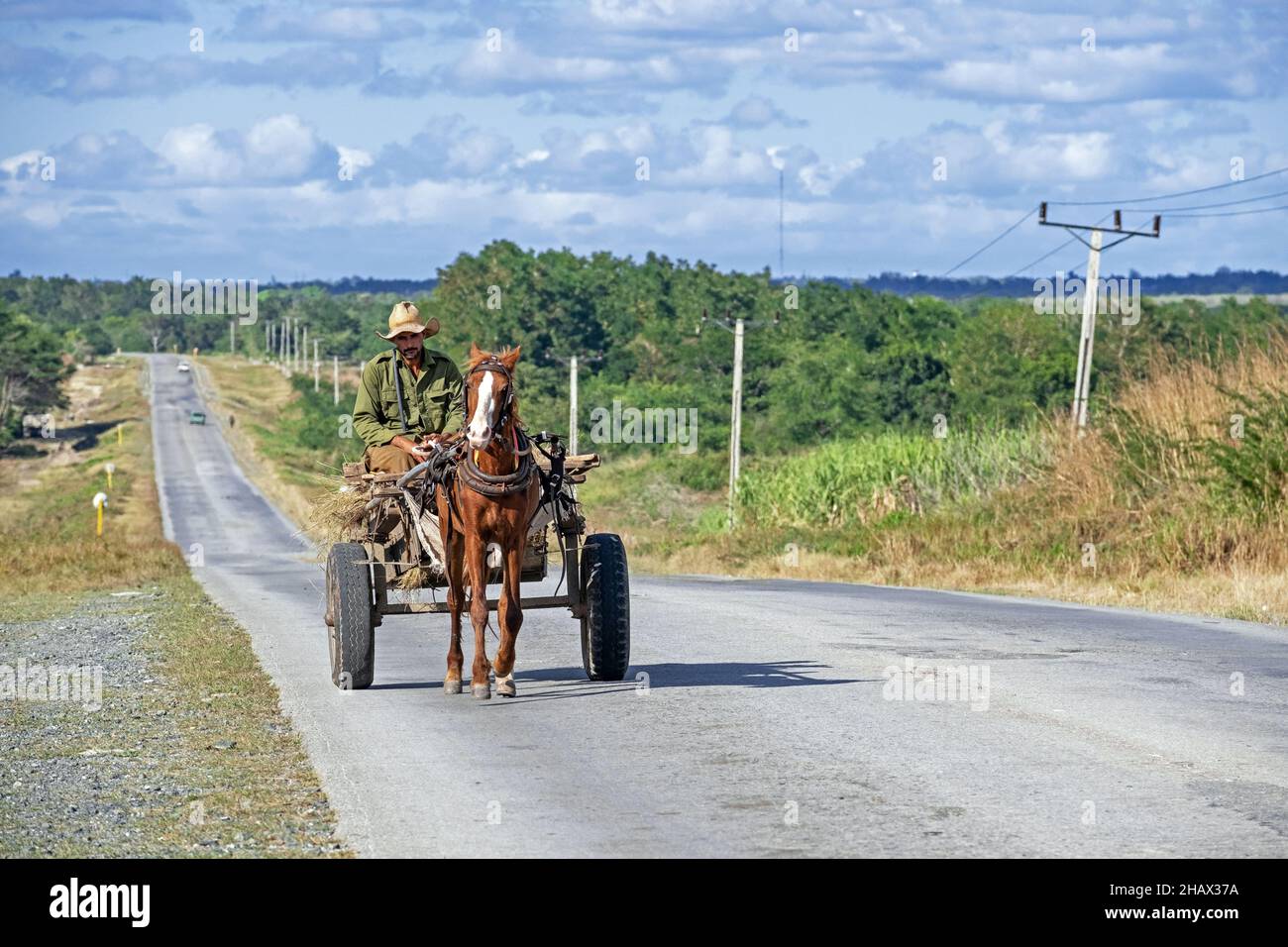 Uomo cubano che guida carretto trainato da cavalli lungo la Carretera Central / CC / Central Road, autostrada ovest-est che copre la lunghezza dell'isola di Cuba Foto Stock