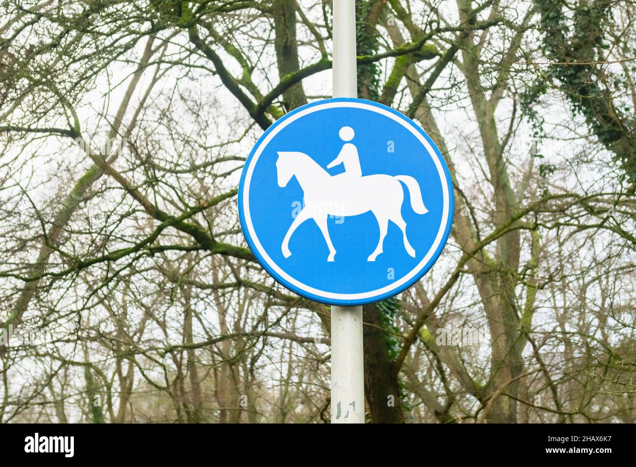 Indica che questa strada è adatta per il cavallo e il pilota Foto Stock