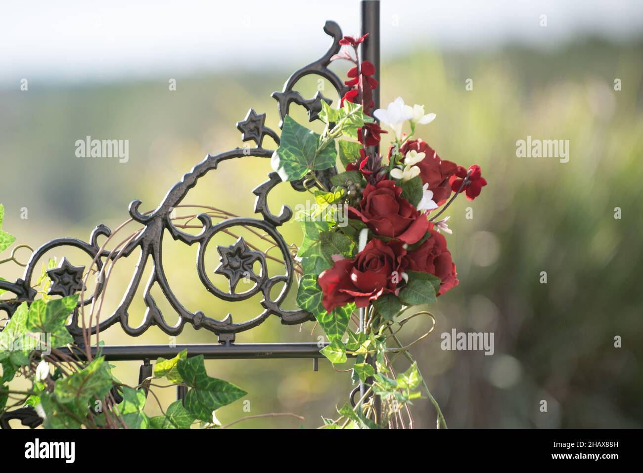 Ferro di ghisa ornato recinto nero con viti e rose rosse Foto Stock