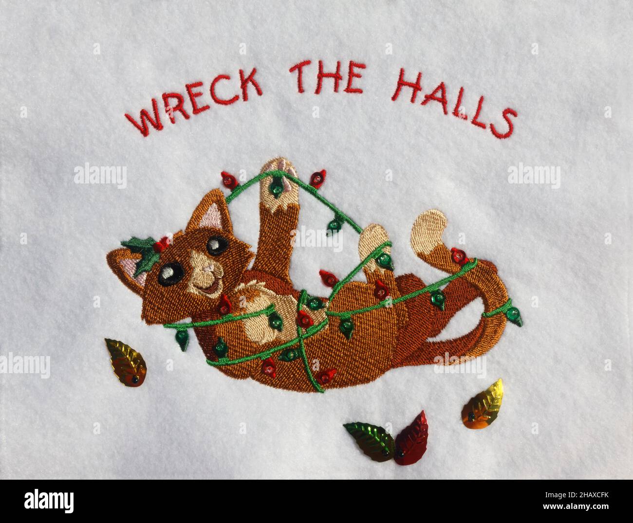 Decorazione di Natale, gatto intrecciò in una serie di luci, Wreck the Halls text, umoristico, carino, ricamo, artigianato, Texture, Holiday, PR Foto Stock