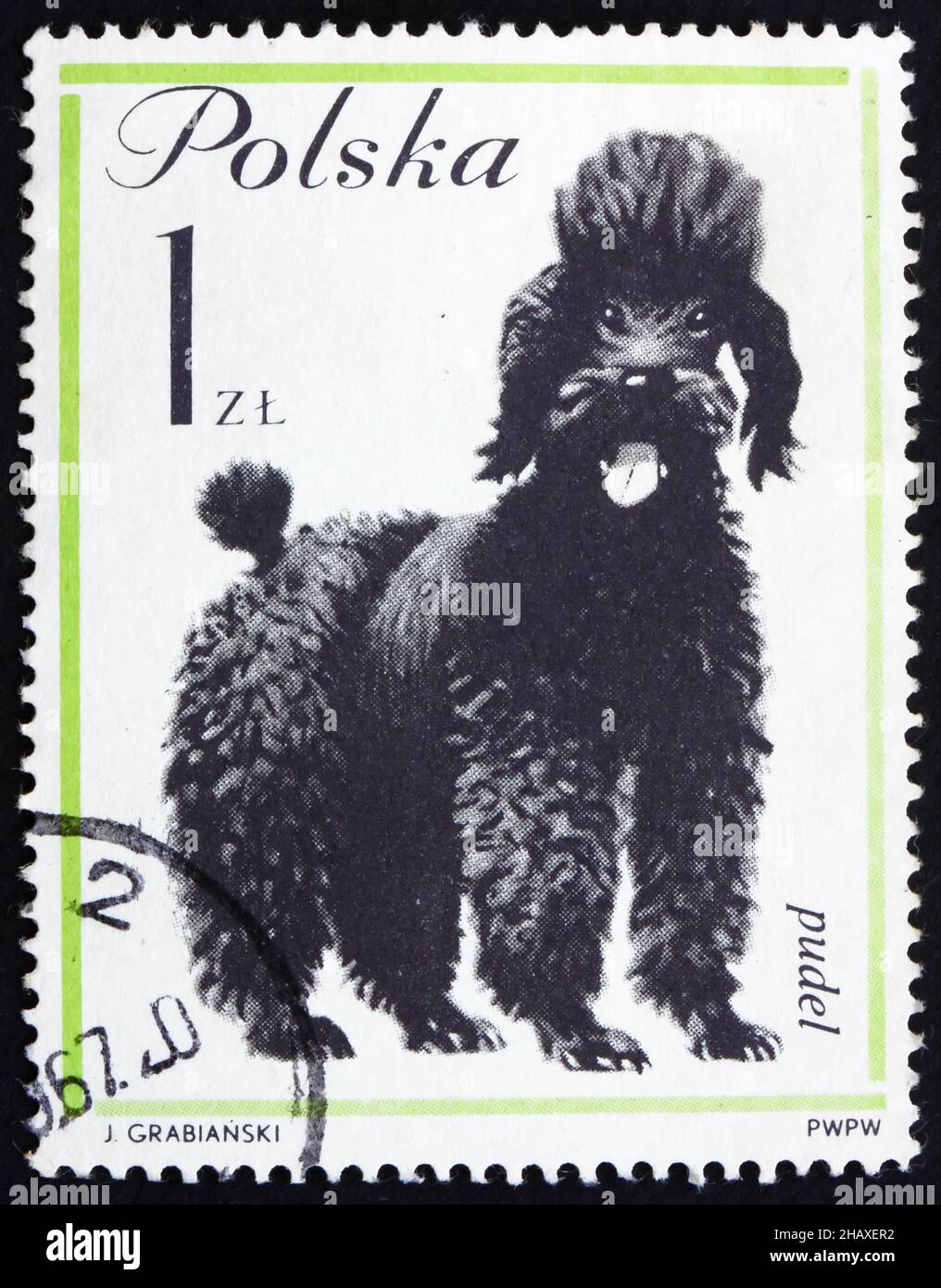 POLONIA - CIRCA 1963: Un francobollo stampato in Polonia mostra Poodle, cane, circa 1963 Foto Stock