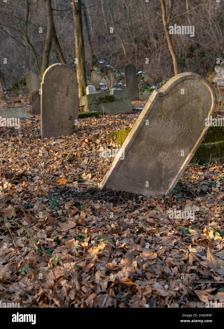 Antico cimitero ebraico abbandonato antico nella foresta in inverno. Lapidi invecchiate o lapidi nel cimitero. Foto Stock
