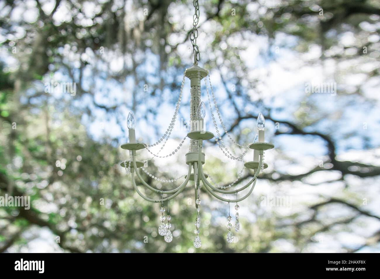 Lampadario vintage bianco appeso all'albero con fogliame verde sullo sfondo Foto Stock