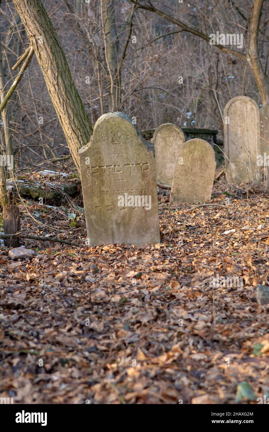 Antico cimitero ebraico abbandonato antico nella foresta in inverno. Lapidi invecchiate o lapidi nel cimitero. Foto Stock