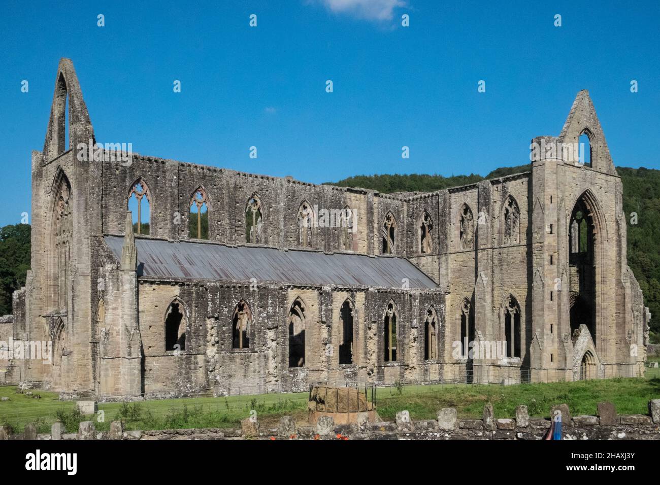 Ruin,ruderi,at,Famous,Tintern,Tintern Abbey,Wales,Welsh,UK,United Kingdom,Great Britain,Britain,British, UK,United Kingdom,Europe,EuropeanTintern Abbey è stata fondata il 9 maggio 1131 da Walter de Clare, Lord of Chepstow. Si trova adiacente al villaggio di Tintern in Monmouthshire, sulla riva gallese del fiume Wye, che in questo luogo forma il confine tra Monmouthshire in Galles e Gloucestershire in Inghilterra. Foto Stock