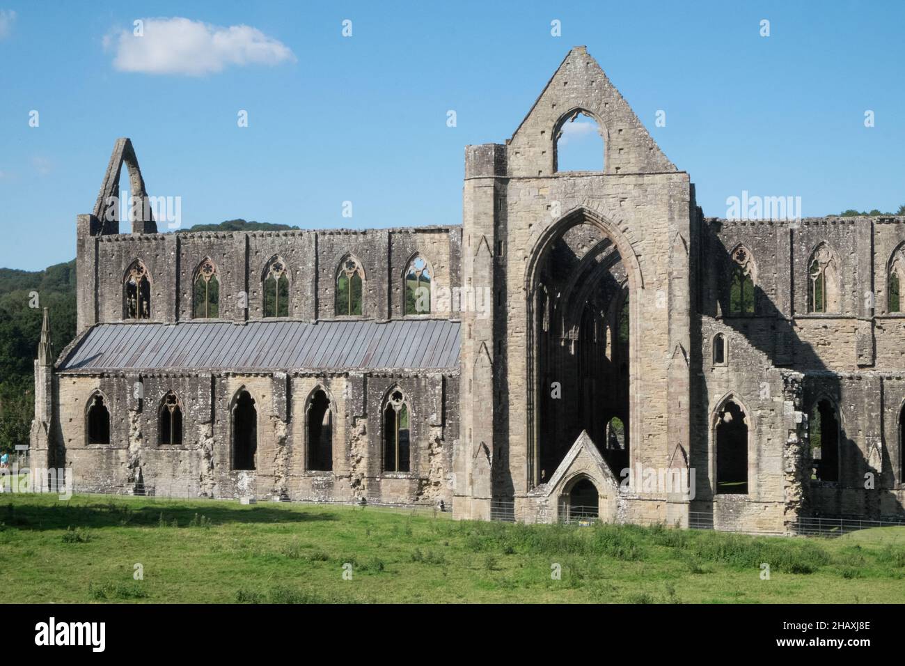 Ruin,ruderi,at,Famous,Tintern,Tintern Abbey,Wales,Welsh,UK,United Kingdom,Great Britain,Britain,British, UK,United Kingdom,Europe,EuropeanTintern Abbey è stata fondata il 9 maggio 1131 da Walter de Clare, Lord of Chepstow. Si trova adiacente al villaggio di Tintern in Monmouthshire, sulla riva gallese del fiume Wye, che in questo luogo forma il confine tra Monmouthshire in Galles e Gloucestershire in Inghilterra. Foto Stock