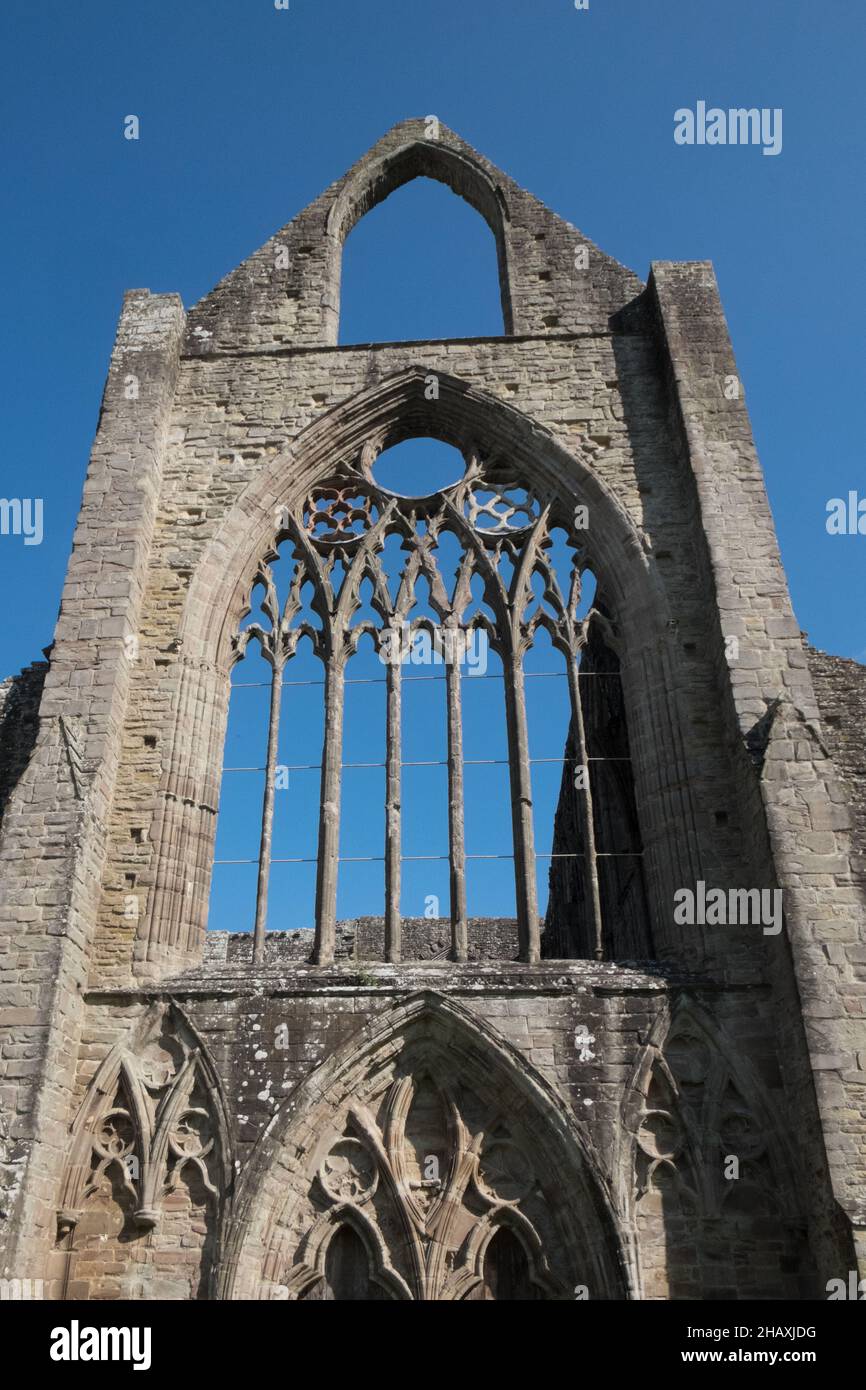 Ruin,ruderi,at,Famous,Tintern,Tintern Abbey,Wales,Welsh,UK,United Kingdom,Great Britain,Britain,British, UK,United Kingdom,Europe,EuropeanTintern Abbey è stata fondata il 9 maggio 1131 da Walter de Clare, Lord of Chepstow. Si trova adiacente al villaggio di Tintern in Monmouthshire, sulla riva gallese del fiume Wye, che in questo luogo forma il confine tra Monmouthshire in Galles e Gloucestershire in Inghilterra. Foto Stock