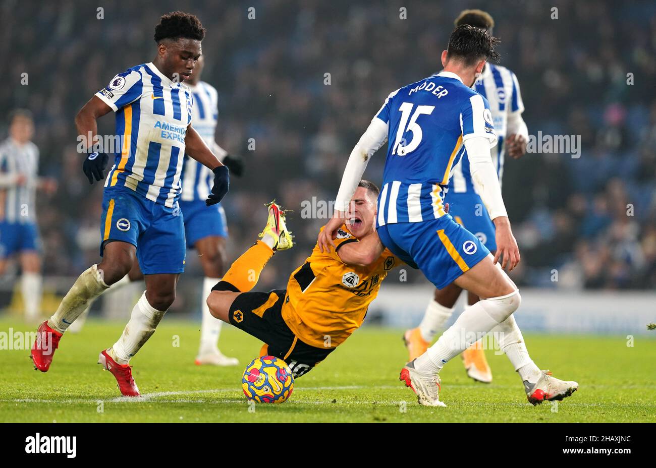Daniel Podence di Wolverhampton Wanderers (centro) sotto la pressione di Brighton e Jakub Moder di Hove Albion (a destra) e Tariq Lamptey lottano per la palla durante la partita della Premier League allo stadio AMEX di Brighton. Data foto: Mercoledì 15 dicembre 2021. Foto Stock