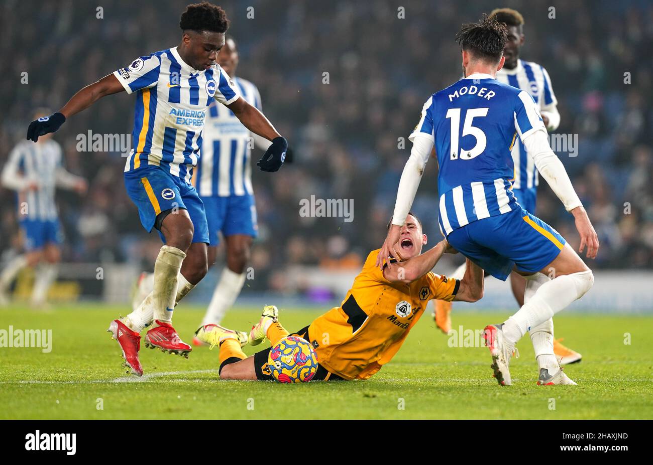 Daniel Podence di Wolverhampton Wanderers (centro) sotto la pressione di Brighton e Jakub Moder di Hove Albion (a destra) e Tariq Lamptey lottano per la palla durante la partita della Premier League allo stadio AMEX di Brighton. Data foto: Mercoledì 15 dicembre 2021. Foto Stock