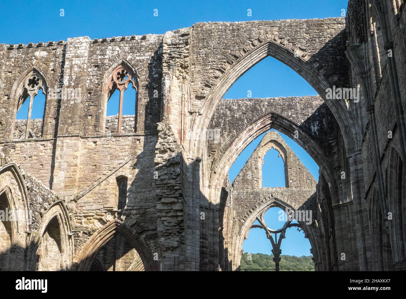 Ruin,ruderi,at,Famous,Tintern,Tintern Abbey,Wales,Welsh,UK,United Kingdom,Great Britain,Britain,British, UK,United Kingdom,Europe,EuropeanTintern Abbey è stata fondata il 9 maggio 1131 da Walter de Clare, Lord of Chepstow. Si trova adiacente al villaggio di Tintern in Monmouthshire, sulla riva gallese del fiume Wye, che in questo luogo forma il confine tra Monmouthshire in Galles e Gloucestershire in Inghilterra. Foto Stock