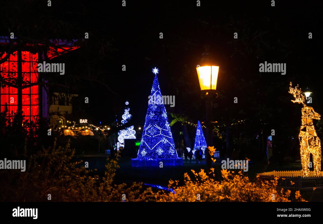 Bournemouth, Dorset, Regno Unito. 15 dicembre 2021. I visitatori, le famiglie e i bambini entusiasti si ritrovano nei Bournemouth Gardens in una serata mite per scoprire il Bournemouth Christmas Tree Wonderland, con oltre 100 alberi scintillanti e luci. Alcuni degli alberi sono tematici per rappresentare sei città in tutto il mondo. I visitatori possono seguire il sentiero. Crediti: Carolyn Jenkins/Alamy Live News Foto Stock