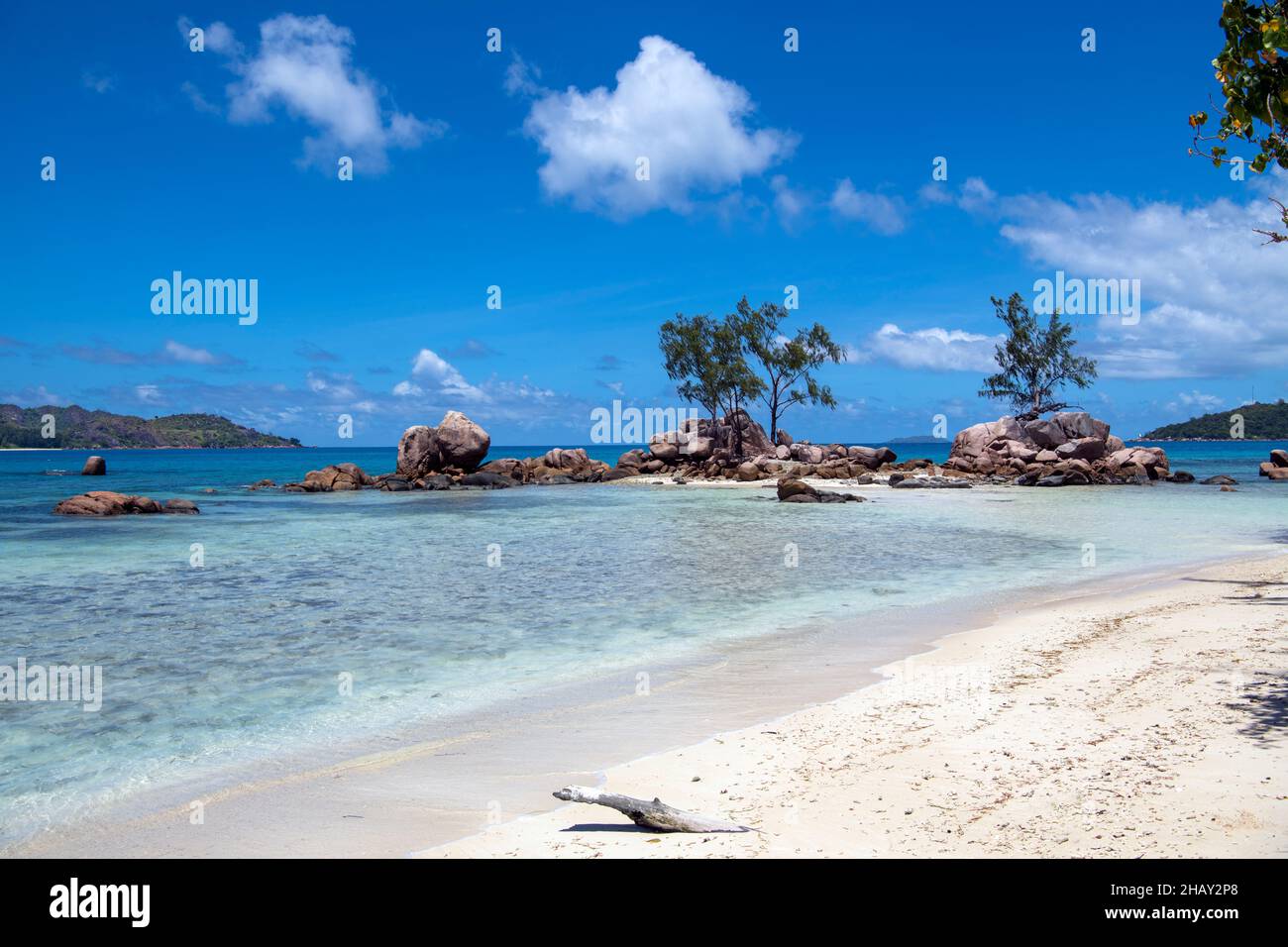 Pittoresca piccola isola rocciosa con tre alberi Anse Boudin Praslin Seychelles Foto Stock