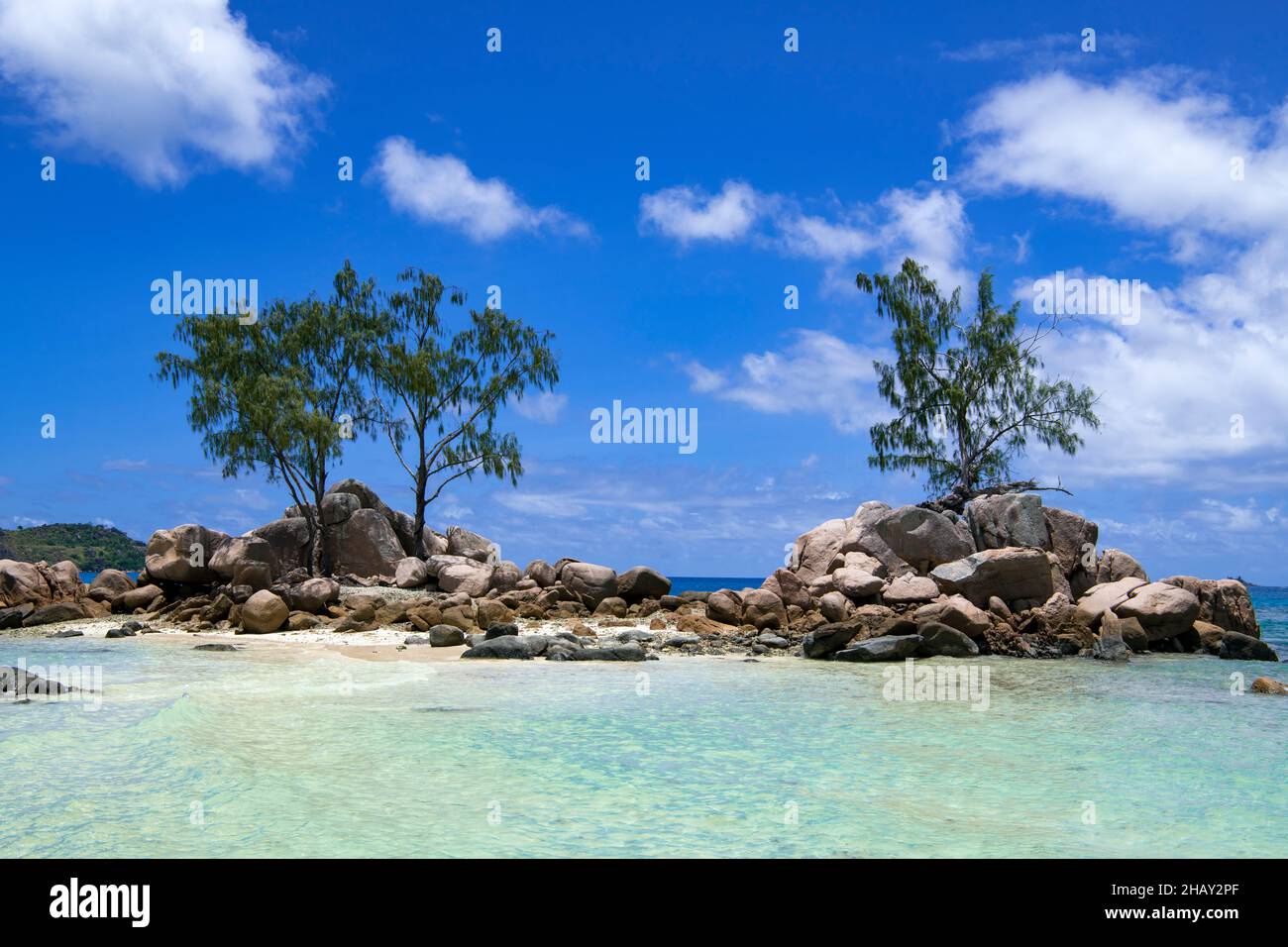 Pittoresca piccola isola rocciosa con tre alberi Anse Takamaka Praslin Seychelles Foto Stock