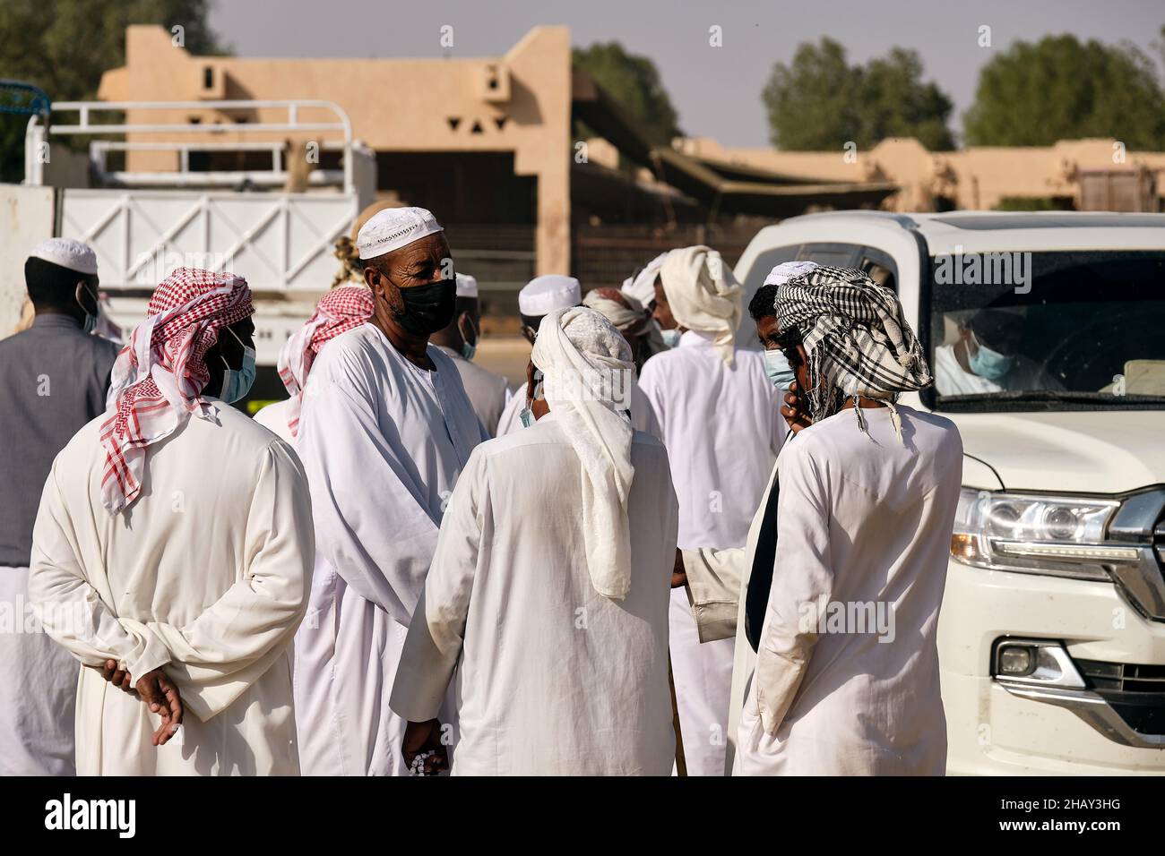AL AIN, EMIRATI ARABI UNITI - Nov 01, 2021: Il mercato dei cammelli di al Ain attrae molti acquirenti e venditori da diverse parti degli emirati Foto Stock
