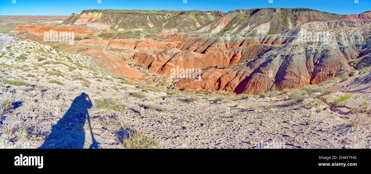 Vista da Nizhoni Point, Petrified Forest National Park, Arizona, USA Foto Stock