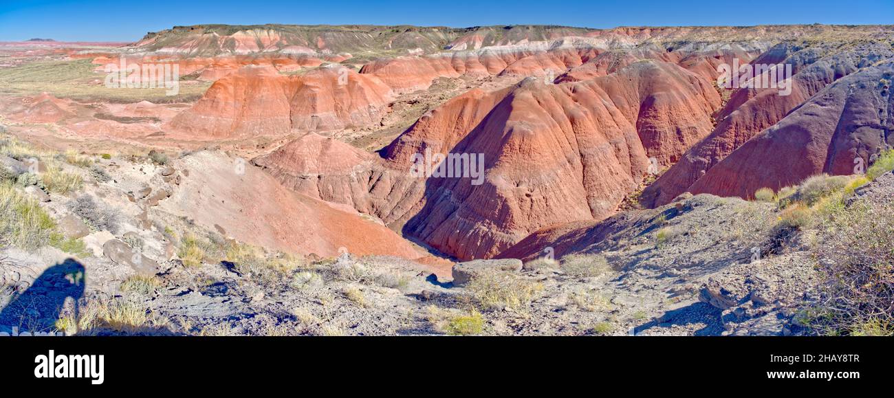 Ombra di un fotografo che scatta una foto, Whipple Point, Petrified Forest National Park, Arizona, USA Foto Stock