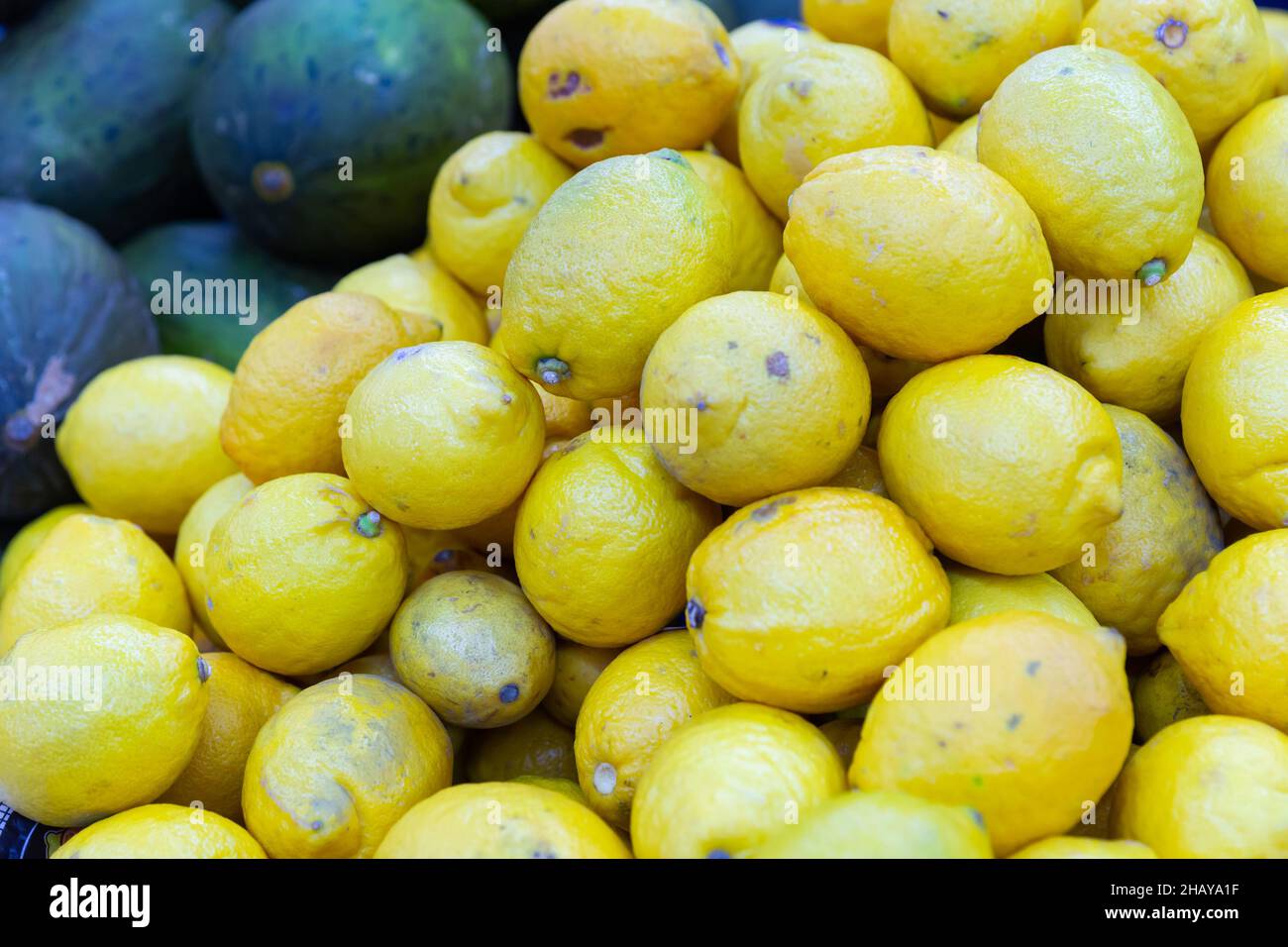 Molti limoni crudi non sbucciati Foto Stock