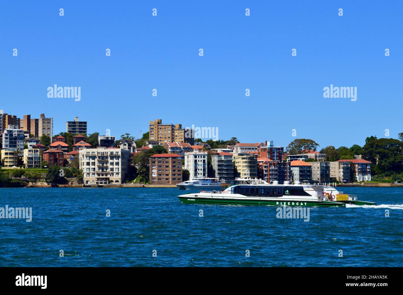 Il Rivercat naviga nel porto di Sydney Foto Stock