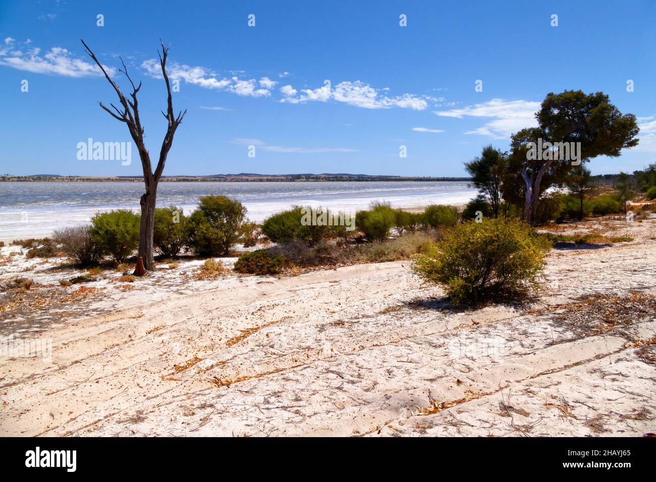 Lago Ninan, Victoria Plains, Australia Occidentale Foto Stock