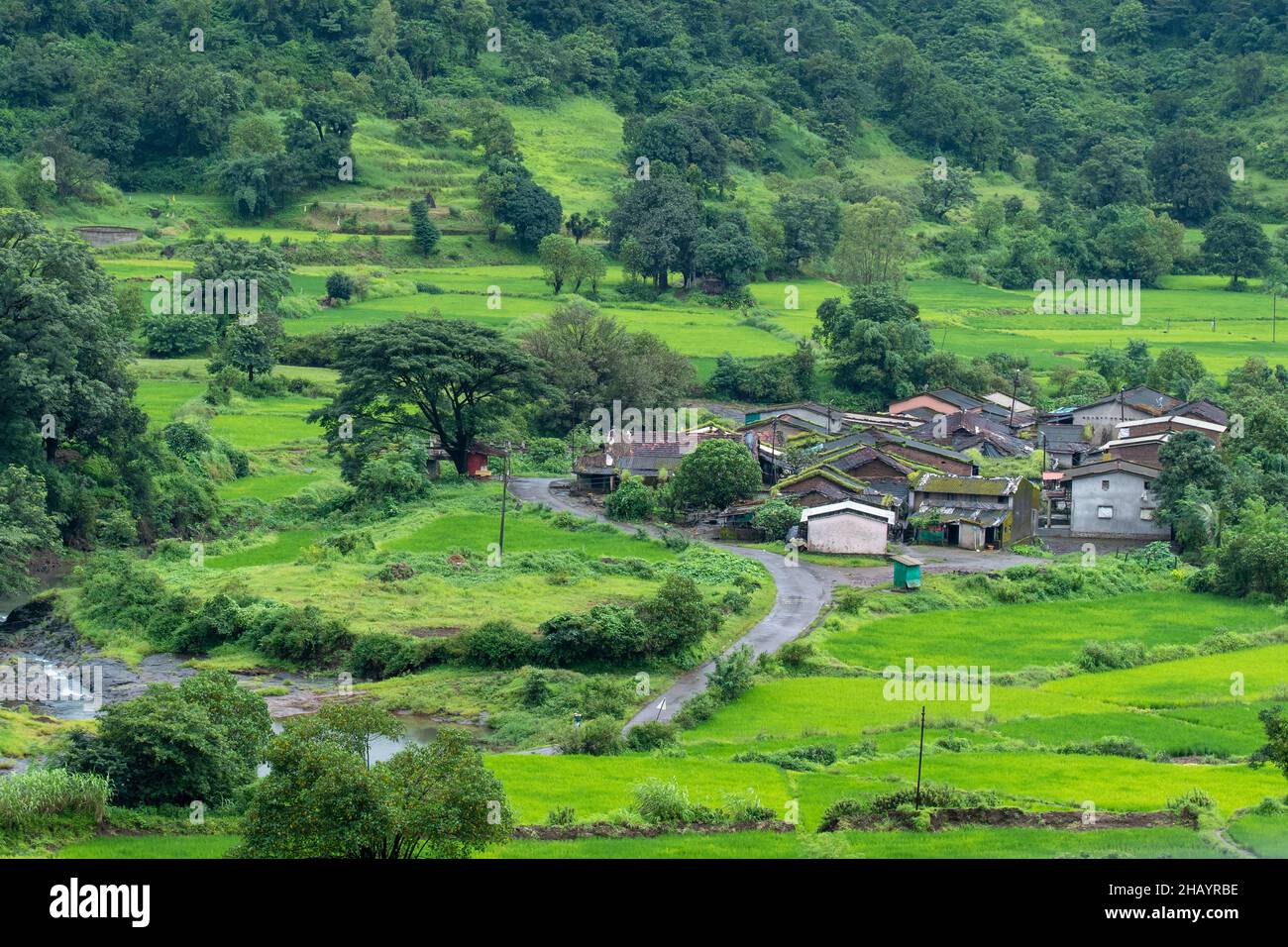 Insediamento in Bhimashankar, Maharashtra, India Foto Stock
