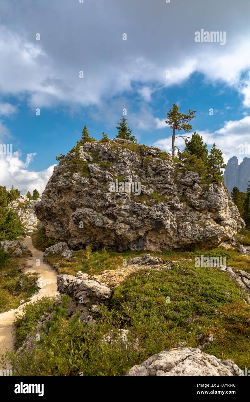 Città di pietra sotto il monte Langkofel, Passo Sella, Alto Adige Foto Stock