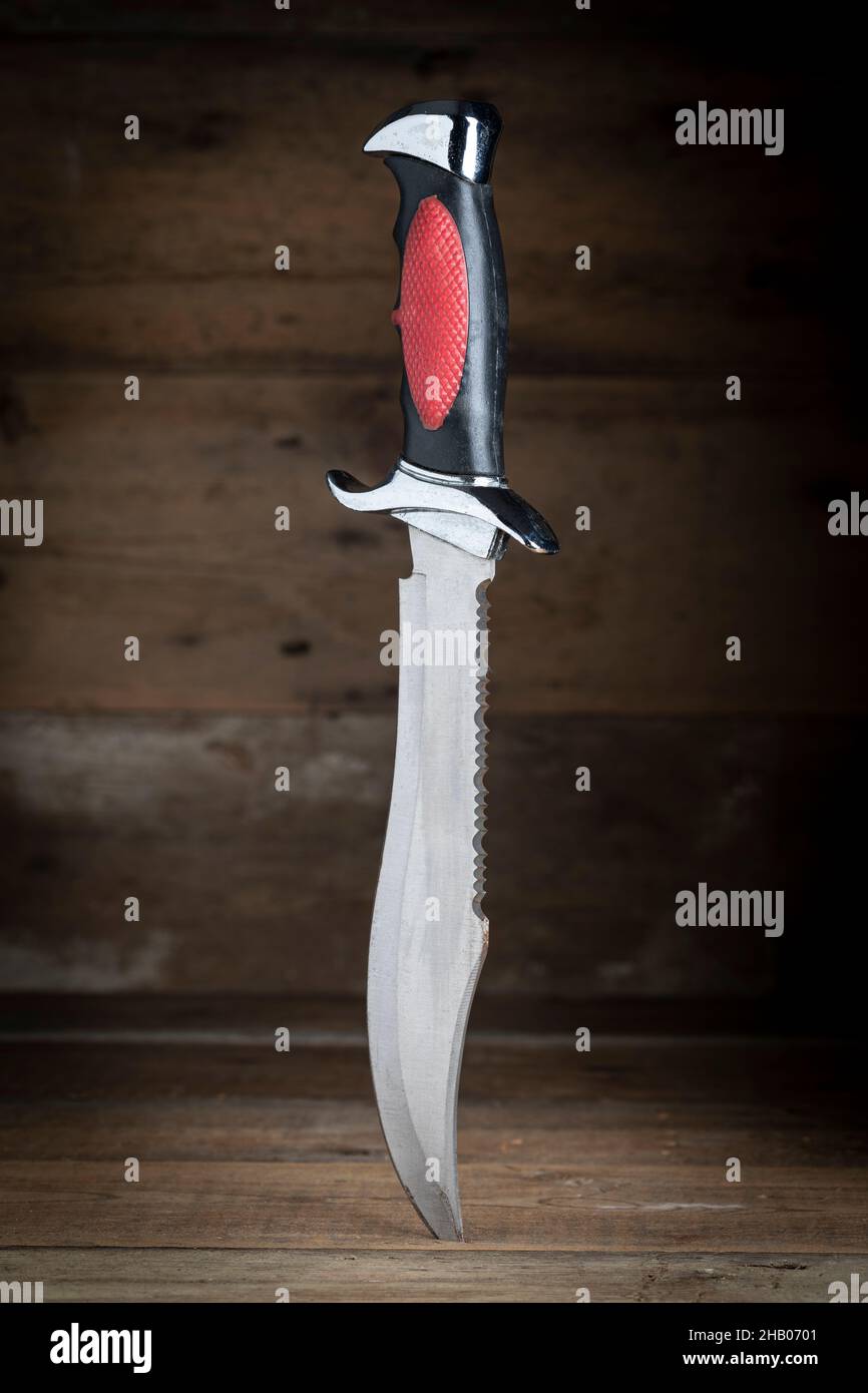 Un grande coltello con guaina a manico nero con un bordo seghettato incollato su una superficie di legno Foto Stock