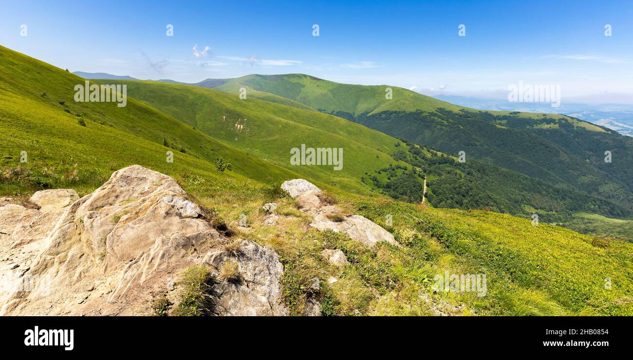 paesaggio montano sul crinale borzhava in estate. bellissimo paesaggio di verde natura carpazia. vista panoramica in una giornata di sole Foto Stock