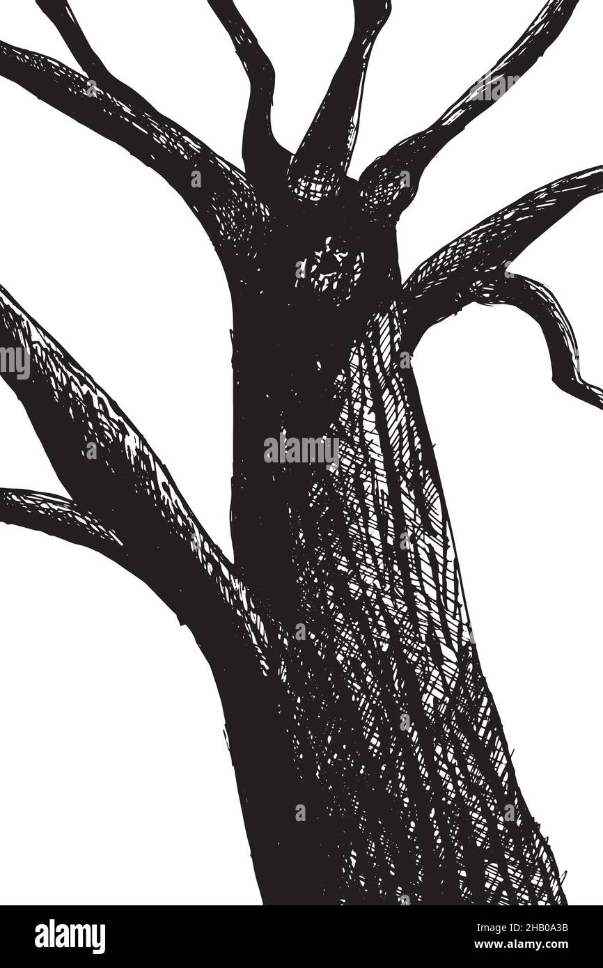 Disegno di un vecchio grande albero su sfondo bianco. Illustrazione di disegno a mano. Struttura vettoriale singola senza lamelle, vista dal basso Illustrazione Vettoriale