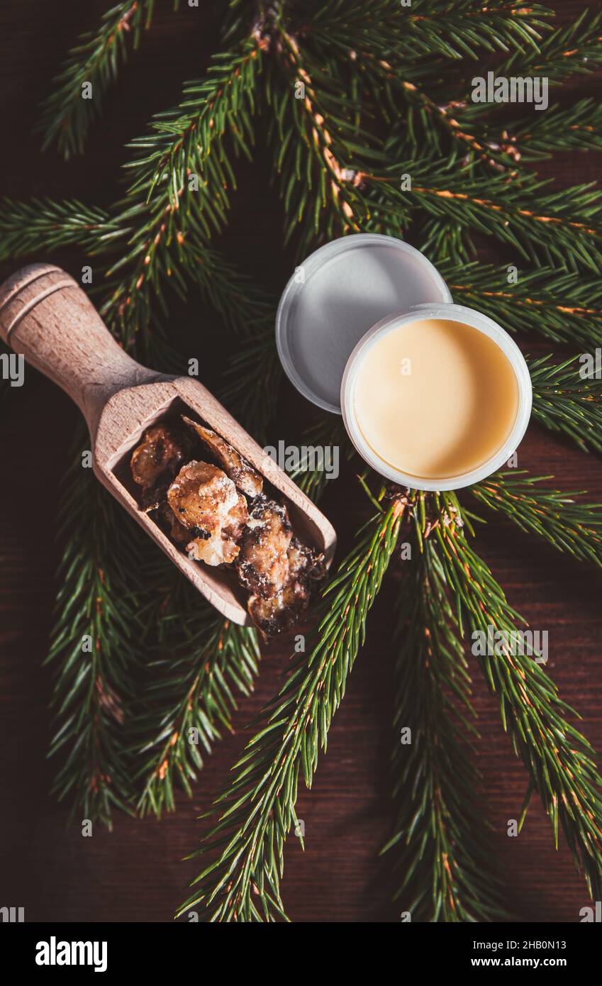 Abete Picea abies resina medicinale a base di erbe lozione in vaso e pezzi su cucchiaio di legno, decorato con rami di abete fresco. Utilizzando resina di abete rosso. Foto Stock