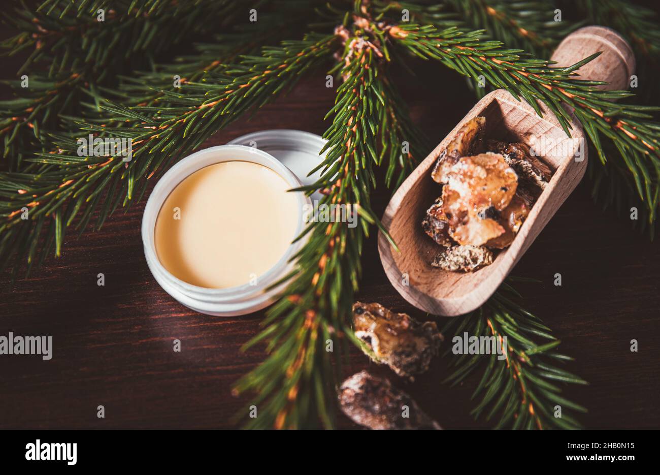 Abete Picea abies resina medicinale a base di erbe lozione in vaso e pezzi su cucchiaio di legno, decorato con rami di abete fresco. Utilizzando resina di abete rosso. Foto Stock