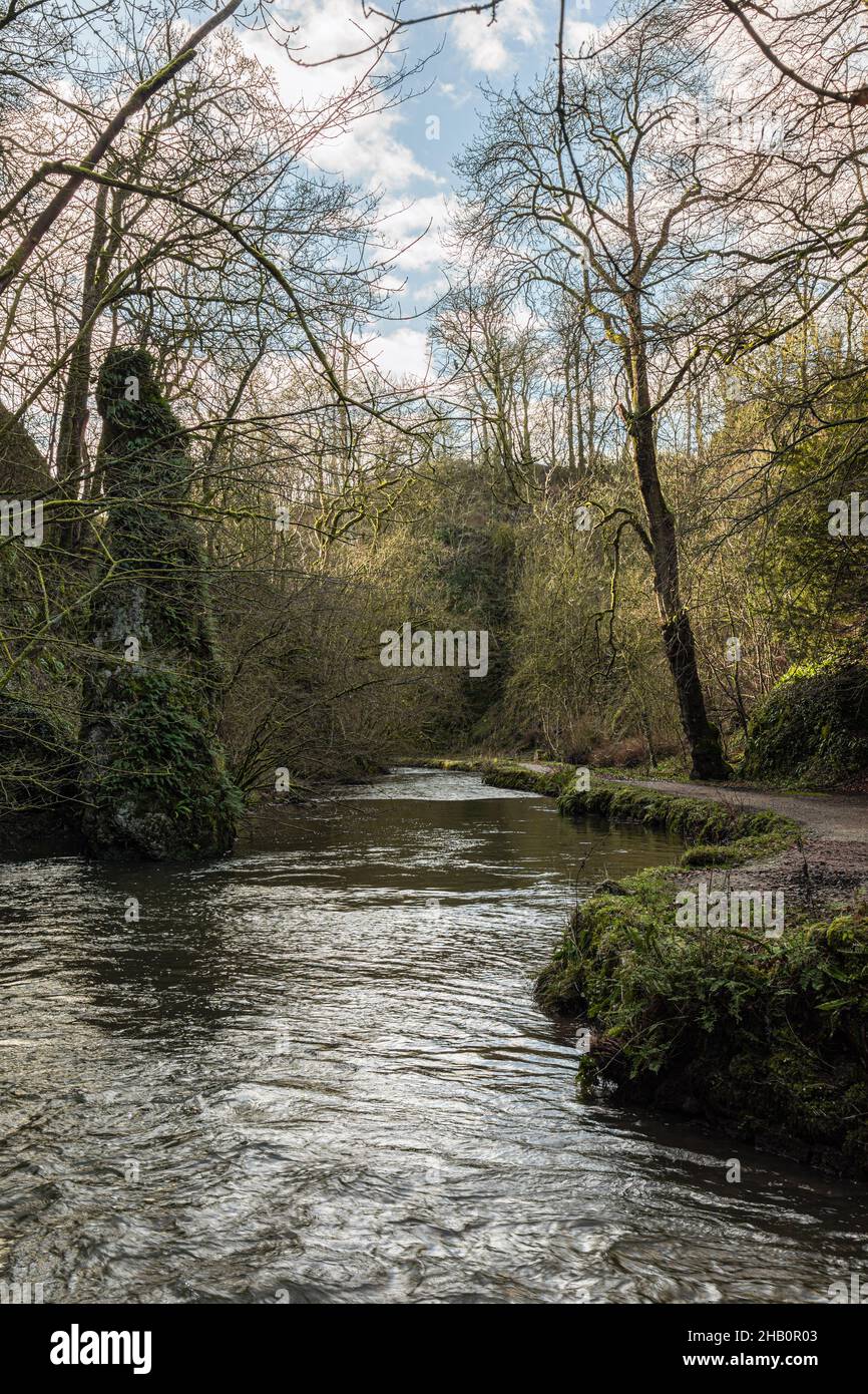 The River dove at Pike Pool, Beresford Dale, Peak District National Park, Derbyshire/Staffordshire Foto Stock