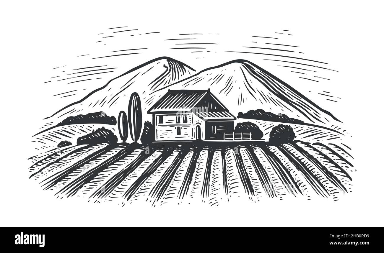 Paesaggio agricolo rurale in stile incisione. Illustrazione vettoriale di agricoltura e agricoltura disegnata a mano Illustrazione Vettoriale