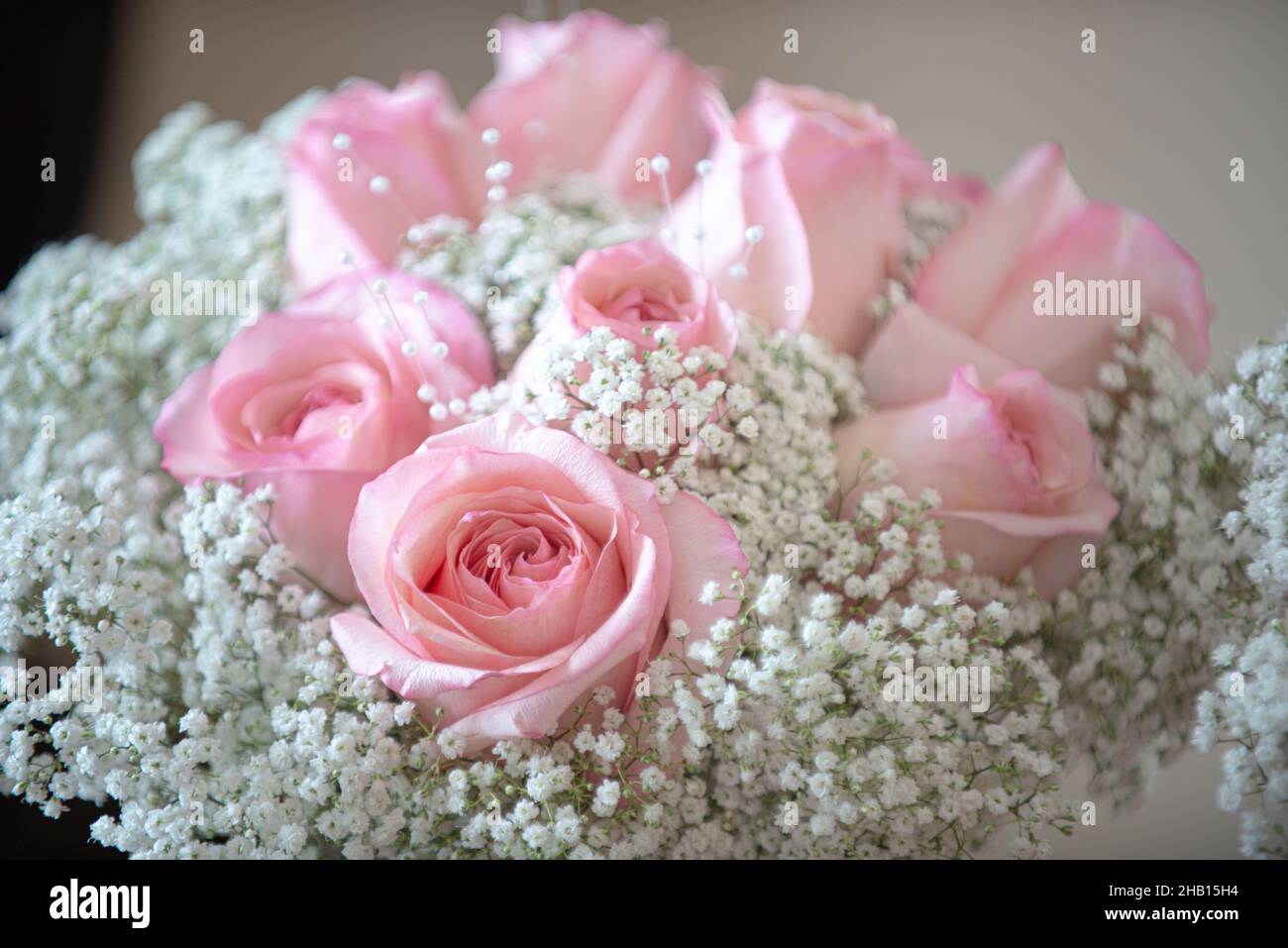 Morbidi e belli rosa rose e bianchi bouquet alito Babies Foto Stock