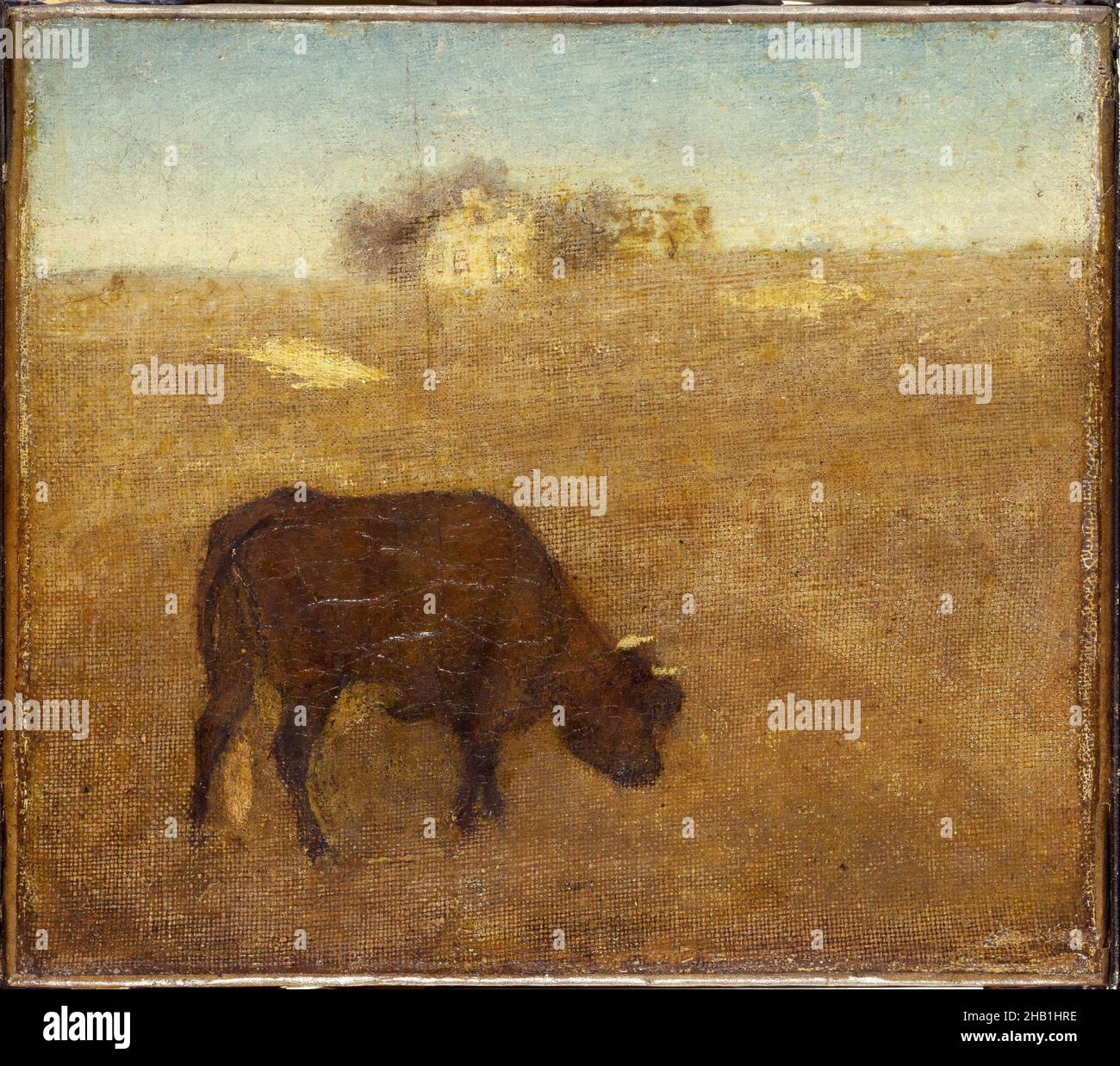 Sera Glow, The Old Red Cow, Albert Pinkham Ryder, americano, 1847-1917, olio su tela, Inizio-metà 1870s, 7 7/8 x 9 pollici, 20 x 22,8 cm, Albert, American, Buffalo, Bull, Tela, mucca, sera, Glow, olio, Bue, pittura, Pinkham, Rosso, Ryder, Tarus, raggi X. Foto Stock