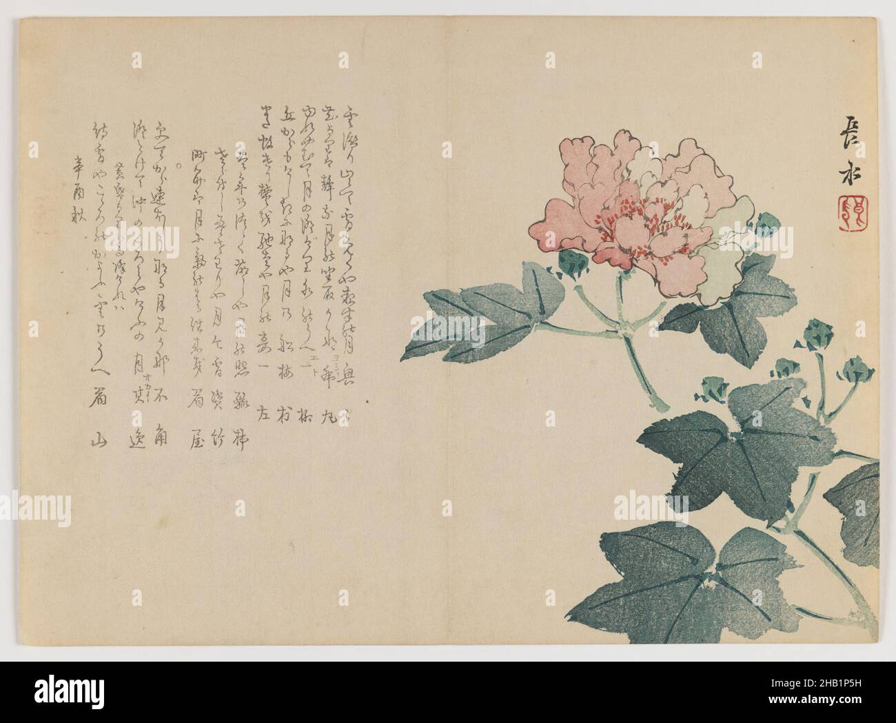 Peony Branch, Chôsui Yabu, giapponese, attivo 1830-1864, stampa woodblock; Formato orizzontale Chûban yoko-e, Giappone, autunno 1861, periodo Edo, 7 1/8 x 9 3/4 pollici, 18,1 x 24,8 cm Foto Stock