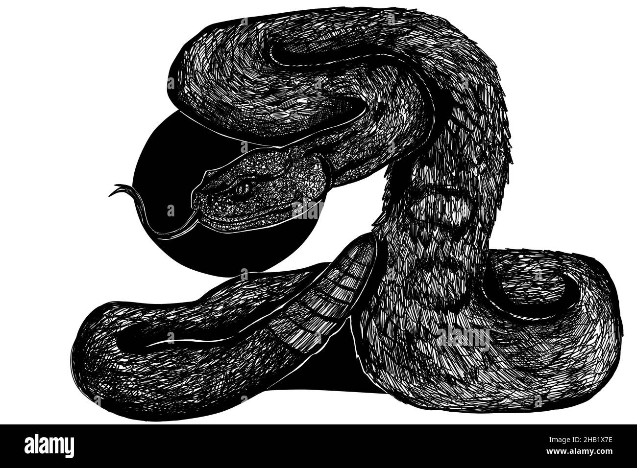 Illustrazione di Dangerous Snake Black Ink Foto Stock