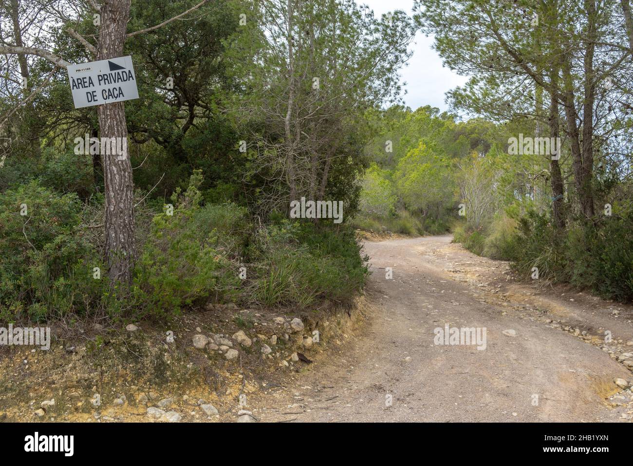 Zona di caccia privata scritta in catalano, all'ingresso di una foresta mediterranea, all'interno dell'isola di Maiorca, Spagna Foto Stock