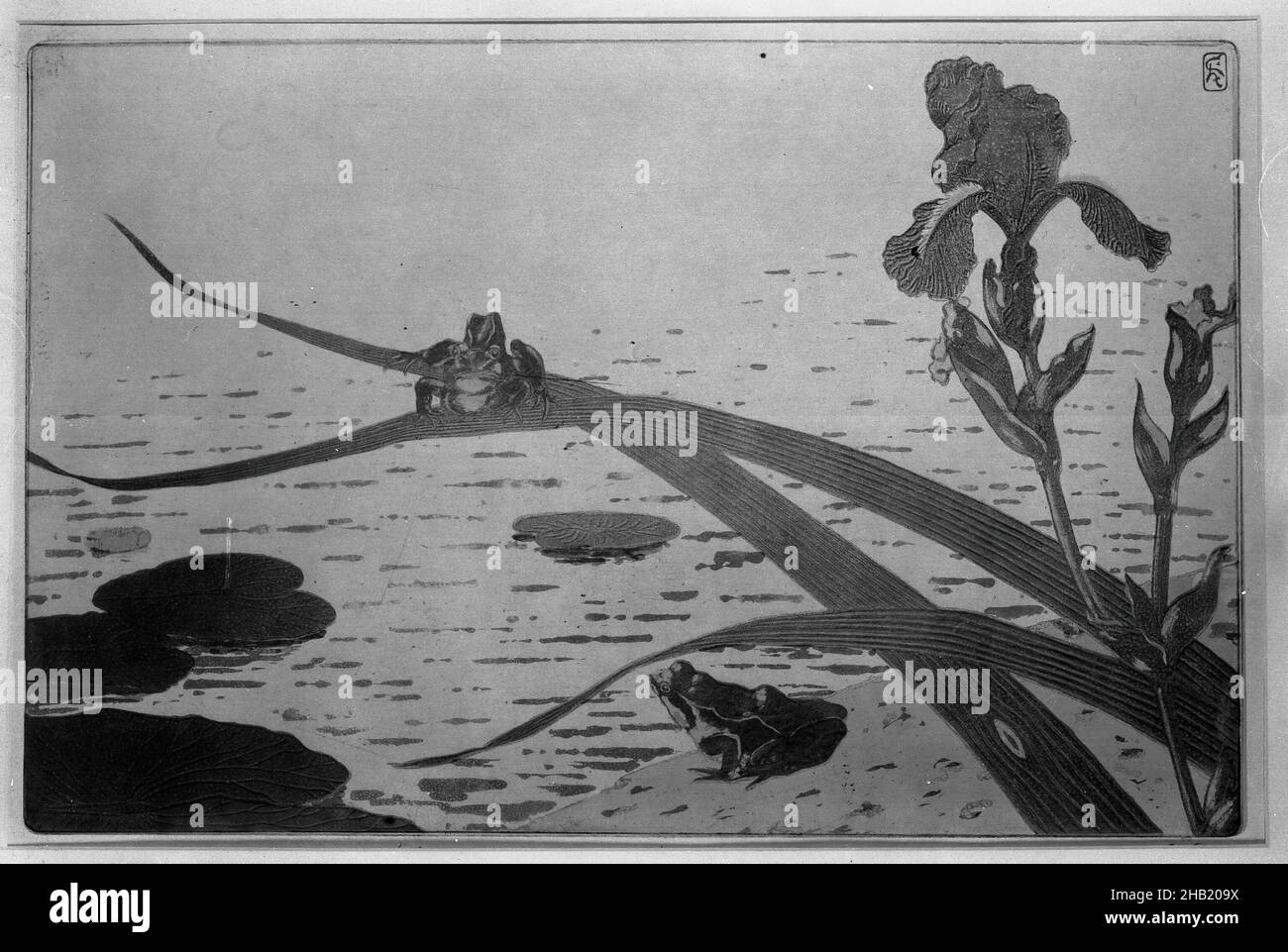 Grenouilles, Charles Houdard, francese, acquaforte? a colori su carta straccia, 1894, 10 1/4 x 13 3/8 pollici, 26 x 34 cm Foto Stock