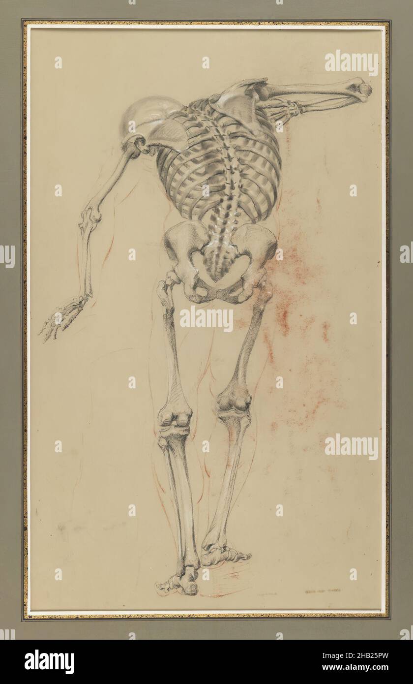 Skeleton Study, Daniel Huntington, americano, 1816-1906, crayon nero e rosso e gesso bianco su carta di vove beige, media grammatura, leggermente testurizzata, ca. 1848, foglio: 20 3/16 x 10 3/8 pollici, 51,3 x 26,4 cm, americano, anatomia, ossa, contrapposo, pastello, disegno, linee sottili, osso pelvico, gabbia di costole, scheletro, colonna vertebrale, camminando Foto Stock