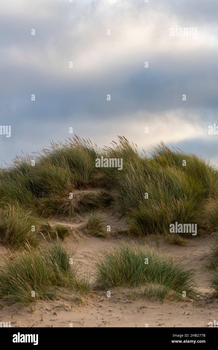 dune di sabbia e prugne di marram con cielo dall'atmosfera suggestiva su una spiaggia nord del norfolk in autunno, spiaggia sabbiosa sulla costa del norfolk in autunno. Foto Stock