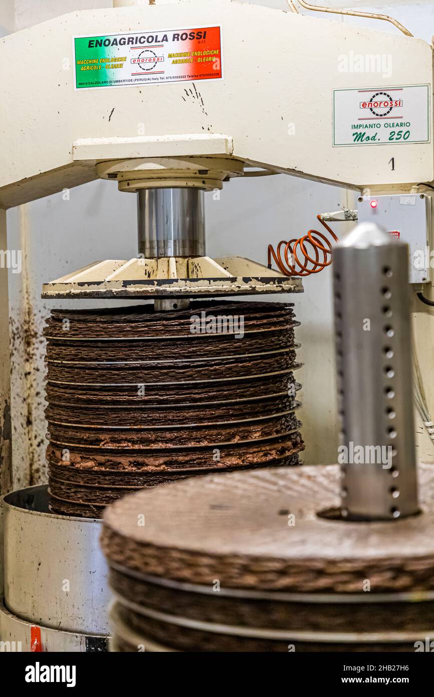 Frantoio tradizionale (Moulin a Huile Traditionnel) a Draguignan, Francia. Quattro presse meccaniche vengono utilizzate contemporaneamente a Fabrice Godet. I tappetini vengono pressati con la pasta d'oliva applicata (Grignon) per circa un'ora Foto Stock