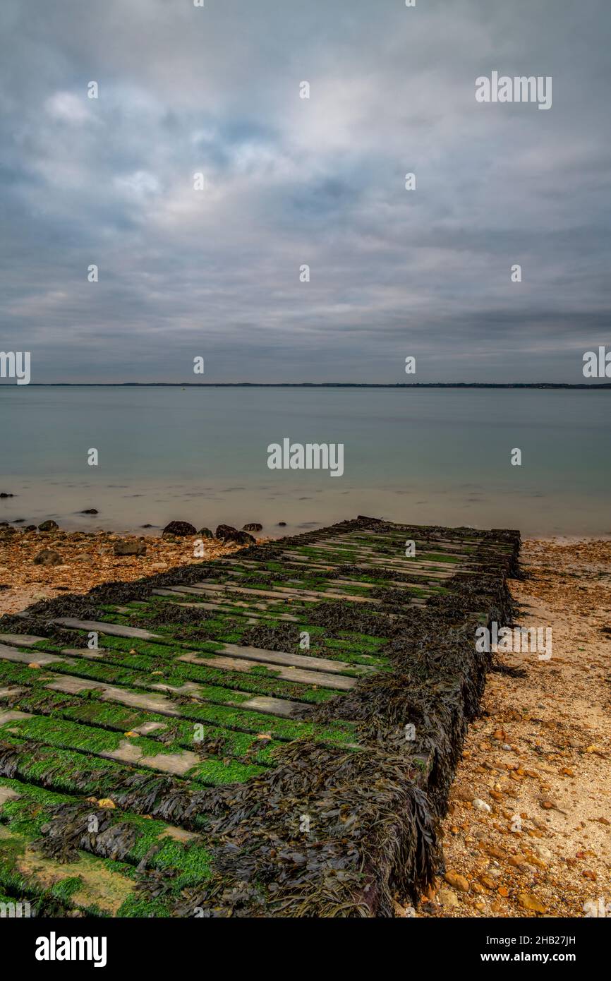 vecchio scivolo costiero coperto di alghe marine sull'isola di wight coastline, pontile in legno o molo coperto di scivoloso verde alga isola di wight shoreline uk Foto Stock