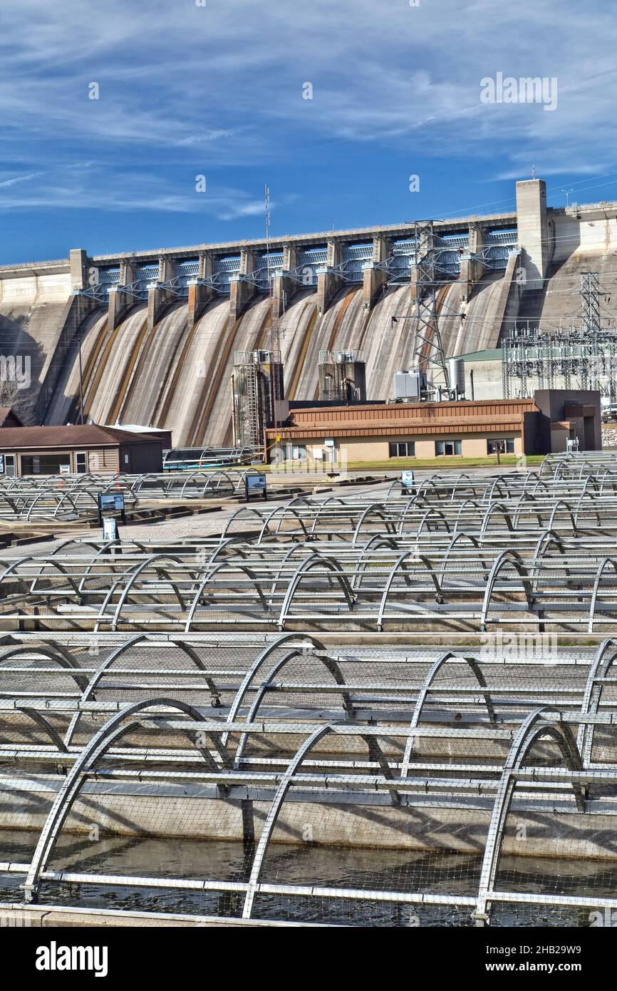 Pastore del vivaio ittico delle colline, diga idroelettrica Table Dam sullo sfondo. Foto Stock