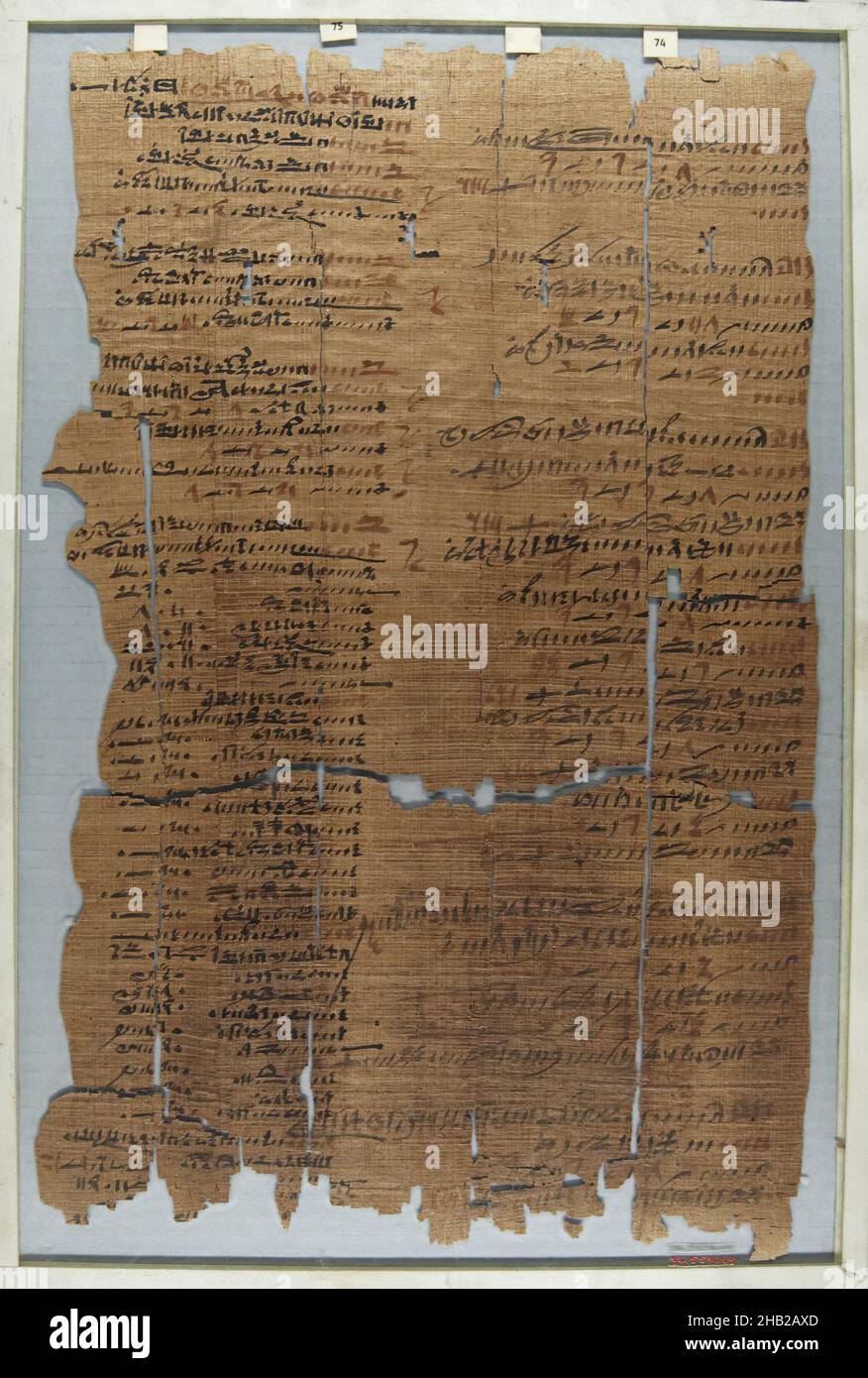 Il Wilbour Papiro, Papiro, Ink, Medio Egitto, Egitto, circa 1147 a.C., Dynasty 20, New Kingdom, Glass: 12 3/16 x 18 1/8 pollici, 31 x 46 cm Foto Stock